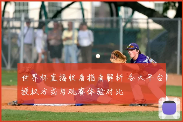 世界杯直播收看指南解析 各大平台授权方式与观赛体验对比