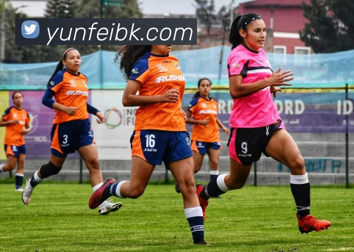 开云官方端网页版登录入口 - 开云(中国)APP 封面图